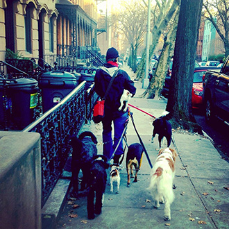 BDW Not an app- real people A real Brooklyn walker