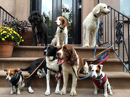 giant stuffed penguin amazon